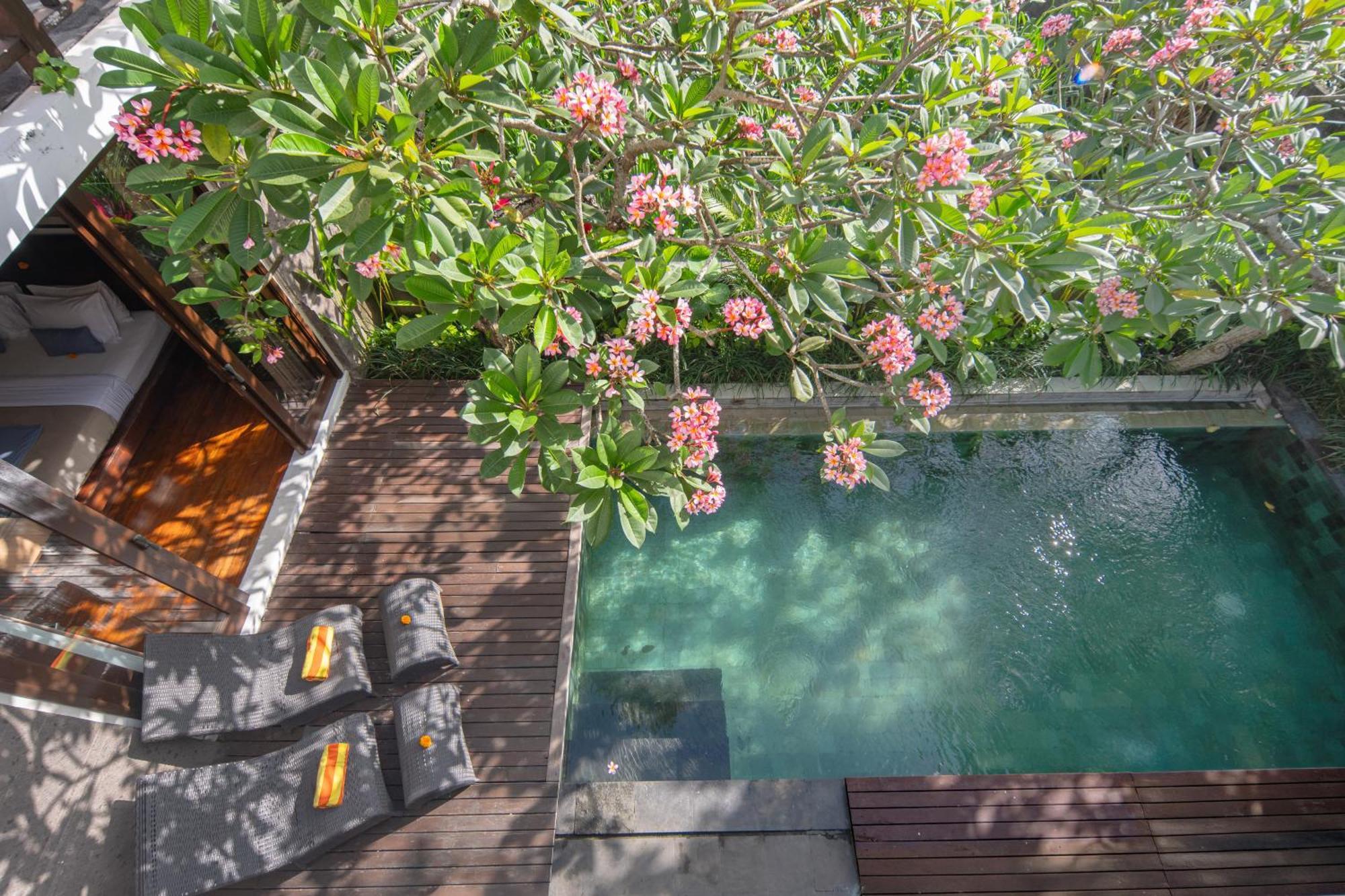Canggu Circle Villa By Ini Vie Hospitality المظهر الخارجي الصورة